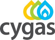 NATURAL GAS PUBLIC COMPANY (DEFA) SHAPING THE NATURAL GAS MARKET OF CYPRUS