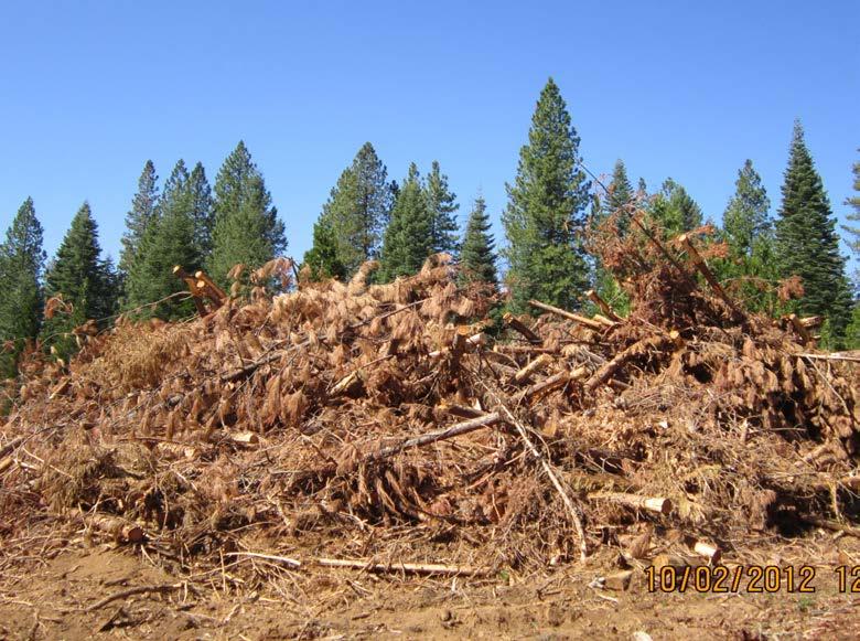 Forest Management Greenhouse Gas Offset Protocols 1. Biomass waste for energy -- Reduce methane from open pile burn or in-field decay/decomposition -- Avoided fossil fuel for equivalent electricity 2.