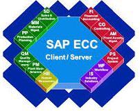 3.SAP Partner