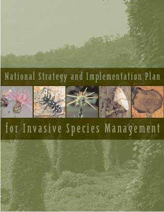 Forest Service Strategy In 2004, the Forest Service released the