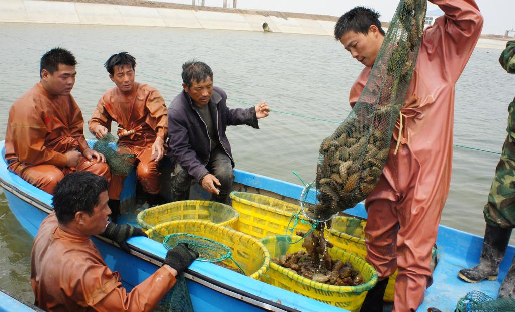 ICM Solutions Transforming Traditional Pond Aquaculture to Modern Ecological Aquaculture in Dongying, PR China Dongying City of Shandong Province,