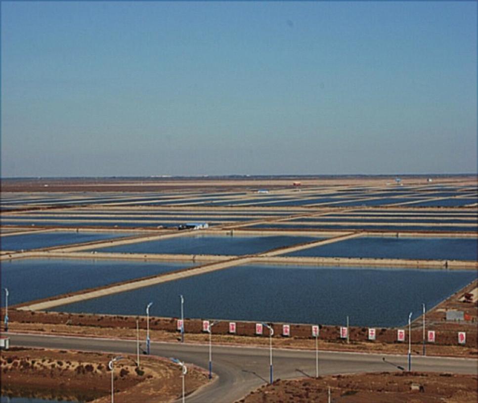 In March 2008, Shandong Province developed plans for the use of designated water areas and tidal flats for aquaculture.