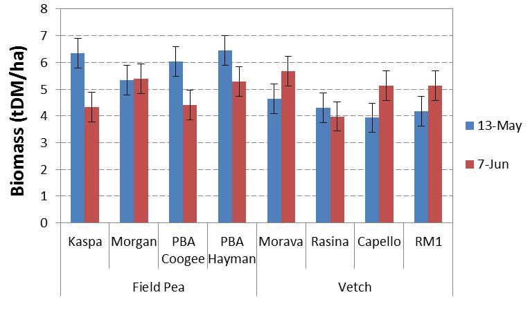 Biomass at maturity At Hart for each sowing date (Figure 3), biomass of all field pea varieties except Morgan was maximised by early sowing.