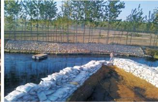 remediation in open drains for abatement of pollution in recipient water bodies and conducted pilot studies in Ramnagar-Domora Drain, Bharatpur (Rajasthan) and AB Road Drain, Indore (Madhya Pradesh).