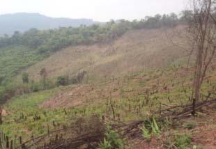 3. Project design The project aims to mitigate deforestation