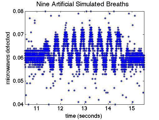 Figure 2.3 Close up of the quick nine simulated breaths shown in the middle of figure 2.2 Use of an artificial rat allowed us to optimally position equipment.