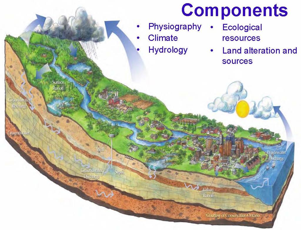 Concept Micro-Watersheds Drainage area, bounded peripherally by a divide, which contributes water, sediment and