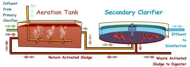 Secondary treatment Activated Sludge Process Consists of aeration tank plus secondary sedimentation tank. It is mainly to remove BOD5 (i.e., organic compounds) and SS.