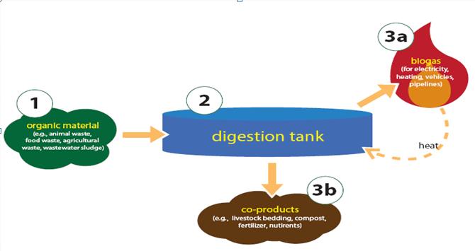 Sludge Treatment Anaerobic Digestion It involves bacteria that works in the absence of oxygen.