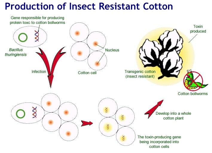 Resistance to Biotic Stresses: a.