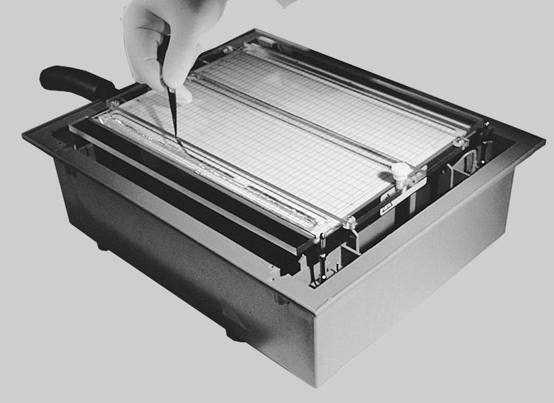 electrophoresis. Make sure that the IPG strip is in full, direct contact with the SDS gel.