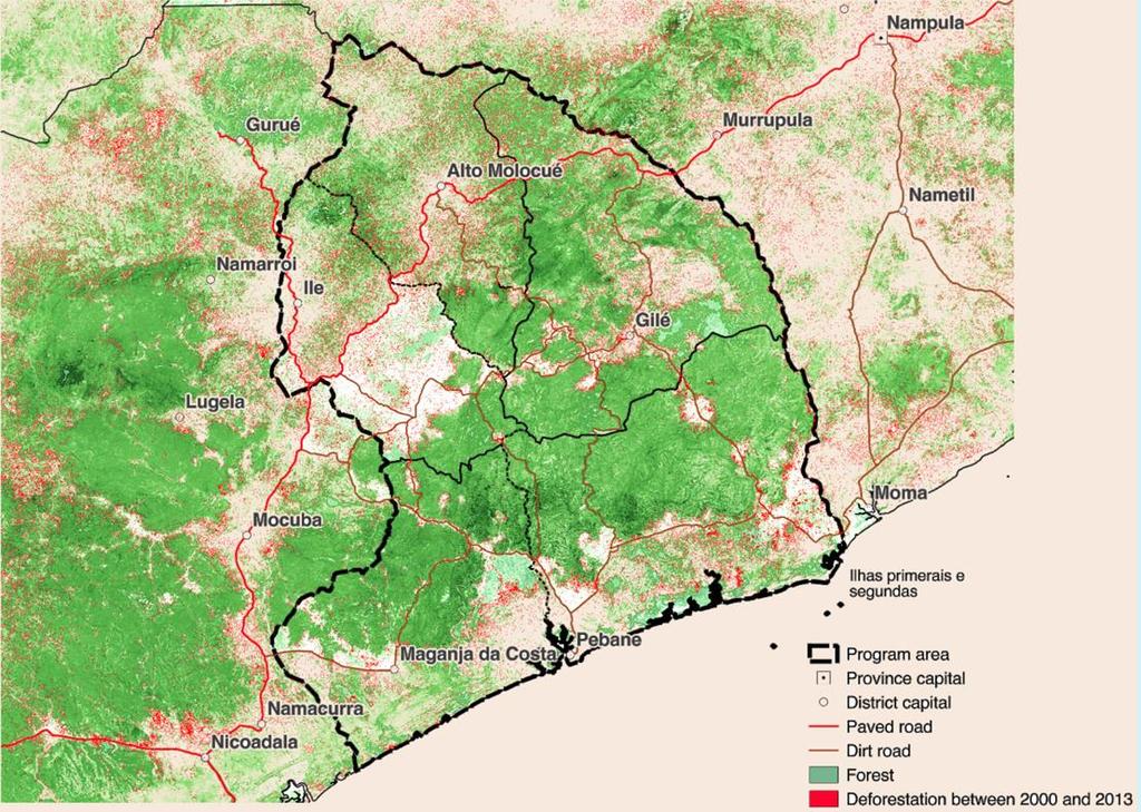 1. Land cover and deforestation District Alto Molocué Forest Area (ha)