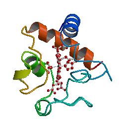 Protein Synthesis DNA molecules provide the instructions for making proteins BUT, RNA molecules are what build