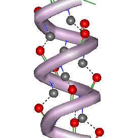 RNA Structure RNA structure differs from DNA structure in 3 ways: 1.