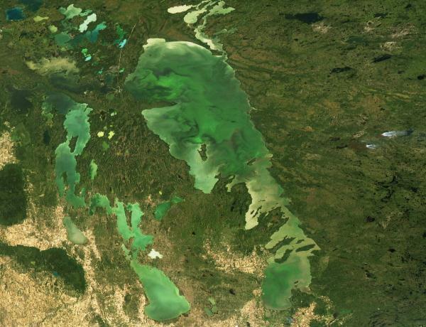 Trust means maintaining our ecosystems for generations to come Lake Winnipeg Algae