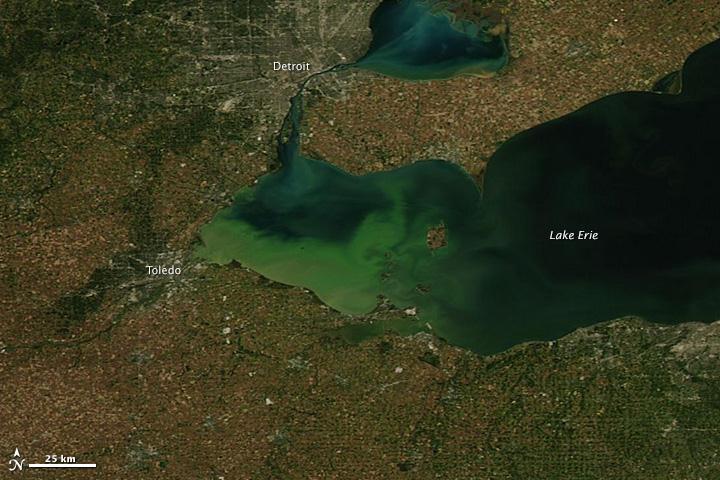 green algae Ontario now committed to agriculture mitigation but still serious