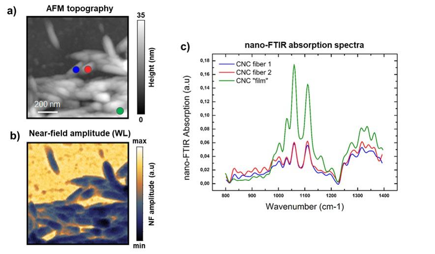 neaspec GmbH, Martinsried, Bayern, Germany nano-ftir is an emerging new optical super resolution microscopy technique that enables IR spectroscopy and chemical mapping with 20nm spatial resolution.
