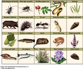 This process has led to the loss of over 1000 endemic species!