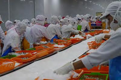 As described above, since the role of women is of great importance in the work at the fishery processing factories, it was confirmed that the promotion of fishery industry by the project contributed