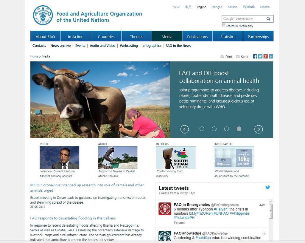 Direct access from IFAJ.org to FAO.
