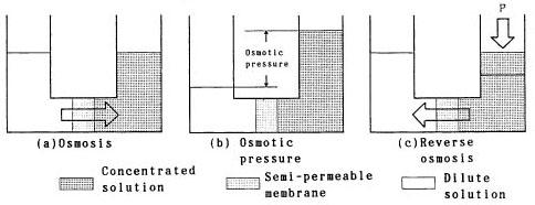 Figure 9. Osmosis and reverse osmosis processes In reverse osmosis, high pressure is applied at the feed and a differential pressure is created between the permeate and feed sides of the membrane.