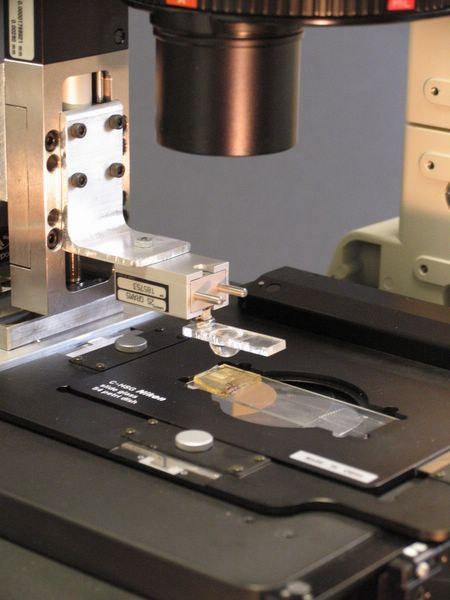 Macroscale Microfiber Adhesion on a 12 mm Diameter