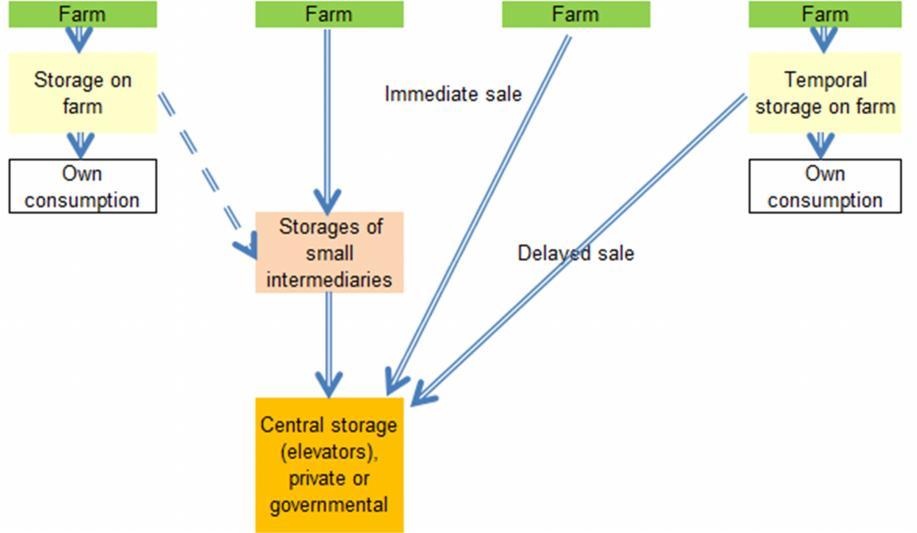 Plant Breeding and Innovative Agriculture Annex E: Reducing Food Losses Figure E5: Location of storages in the food supply chain (FSC) Source: Own illustration The storage technology rests on good