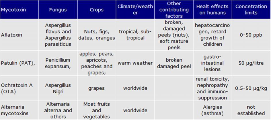 Plant Breeding and Innovative Agriculture Annex E: Reducing Food Losses Table E14: Mycotoxins in fruits and vegetables Source: Largely based on Barkai-Golan and Paster (2008) Mycotoxin accumulation