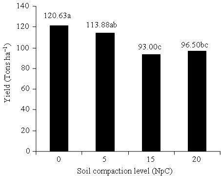 Table 5: Average stalk diameter of sugarcane by block Stalk diameter at month (cm)