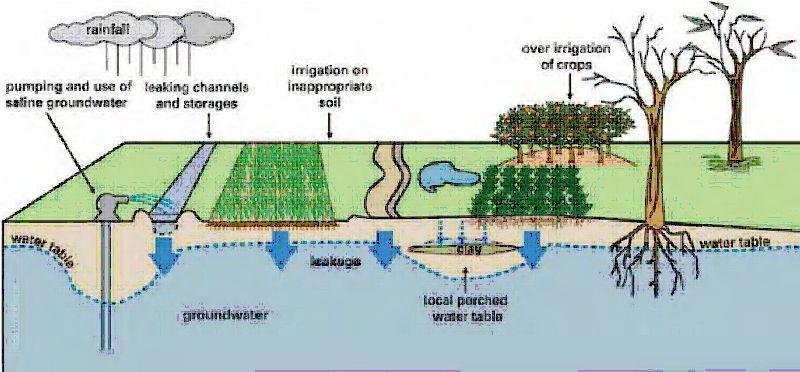THE GREEN REVOLUTION: IRRIGATION Irrigation creates certain problems including waterlogging and