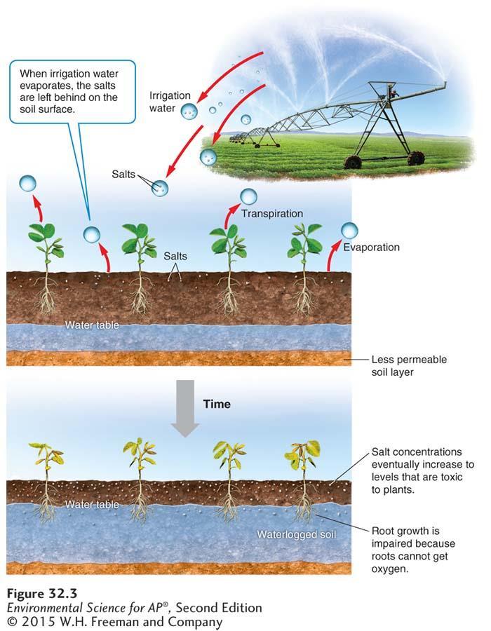 THE GREEN REVOLUTION: IRRIGATION Irrigation-induced salinization and waterlogging.