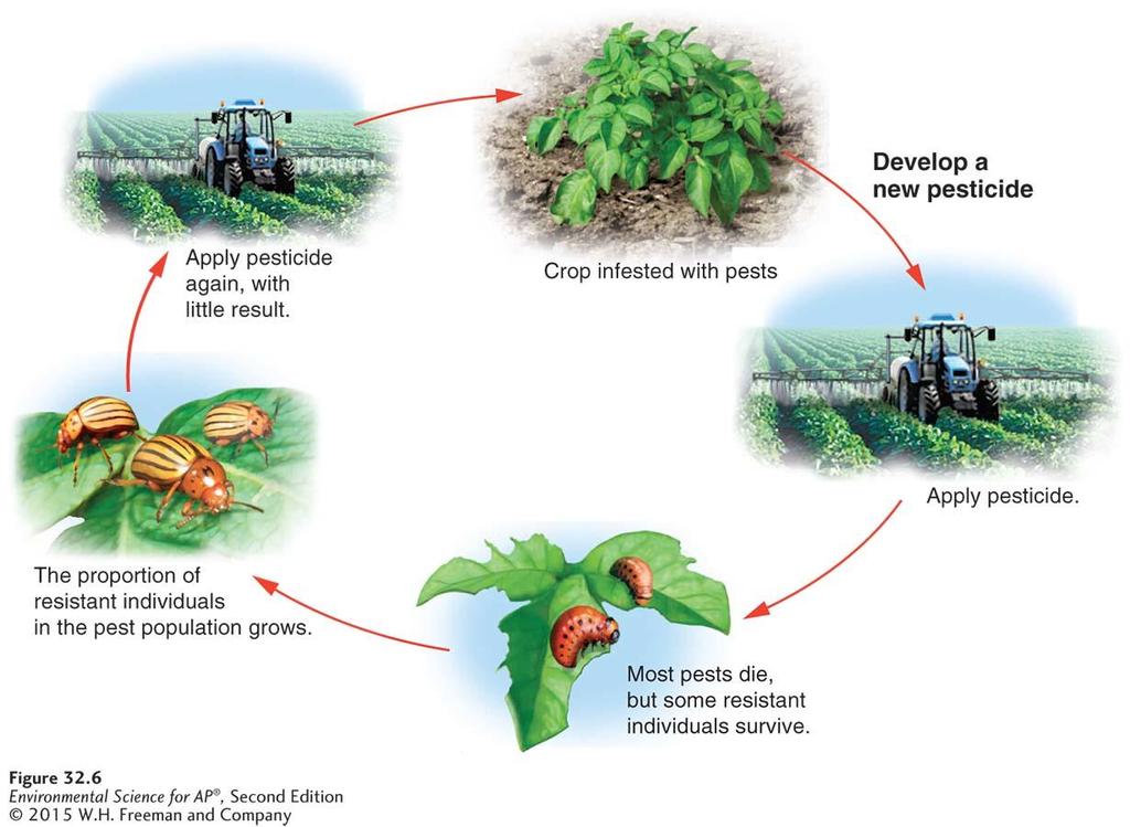 THE GREEN REVOLUTION: PESTICIDES The pesticide treadmill.