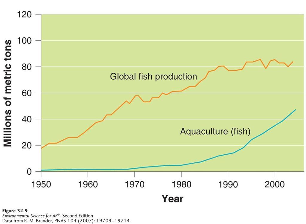 HARVESTING FISH Global fish production.