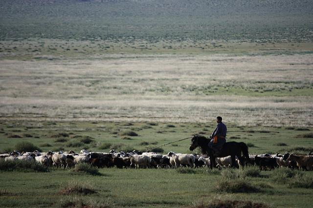 SHIFTING AGRICULTURE AND NOMADIC GRAZING Shifting agriculture An agricultural method in which land is cleared and used for a few years until the soil is depleted of nutrients.