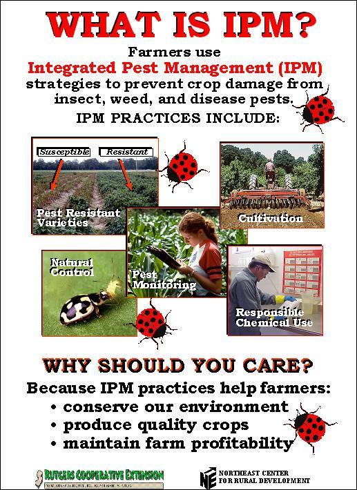 INTEGRATED PEST MANAGEMENT Integrated pest management (IPM) An agricultural practice that uses a variety of techniques designed to minimize pesticide