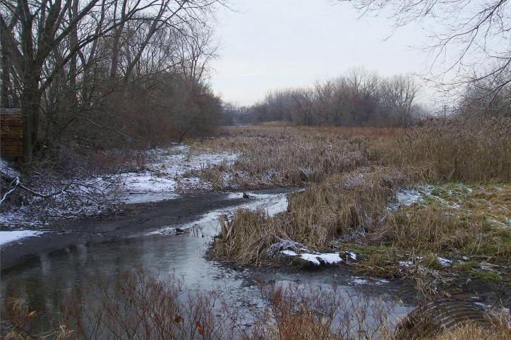 10. What determines when the river is cleaned up and restored?