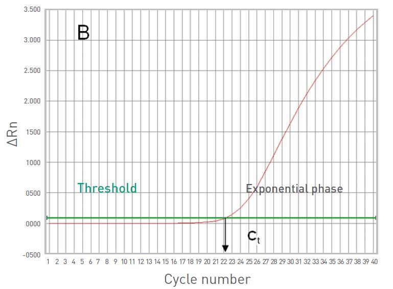 when reagents are not limited * threshold cycle (C T value) is the cycle at which sample