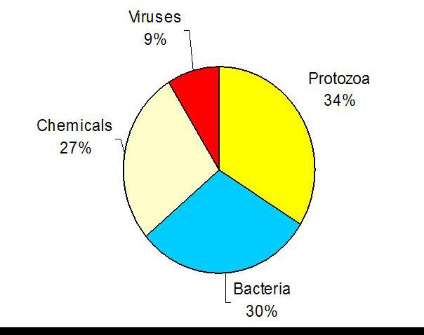 Breakdown of Causes of Waterborne Illness * Viruses Norovirus 6% Hep A 2% Others 1% Protozoa