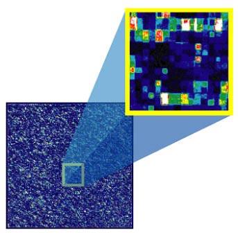 Affymetrix GeneChips Fluorescence coming from the squares (probes) tells researchers whether a gene
