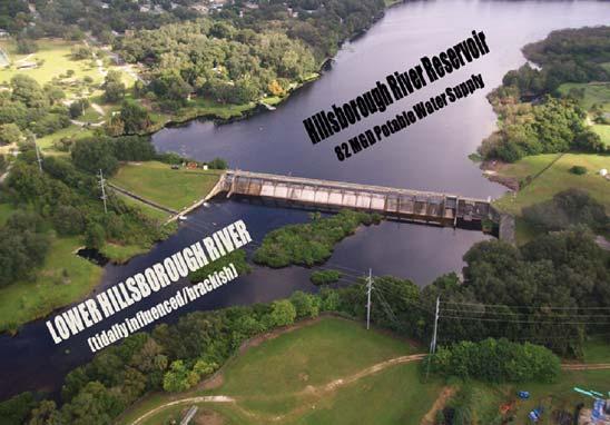 FWRJ Providing Minimum Flows to the Lower Hillsborough River and Sulphur Springs Run While Minimizing Impacts to Tampa s Potable Water Supply Brian D. Pickard, David W.