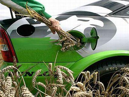 What is Biofuel?