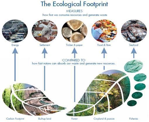 What is Ecological Footprint?