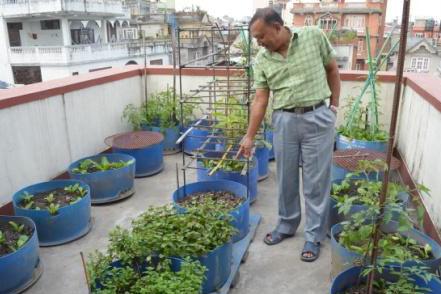 KESBEWA URBAN COUNCIL AND WESTERN PROVINCE, SRI LANKA Kesbewa promotes space-intensive home gardens, productive rooftops, rainwater harvesting, recycling of organic household waste, and