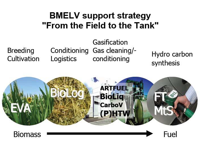 R&D Support in the Field of Biofuels Focus: Breeding, cultivation and logistics of energy plants (raw material supply) Improvement of biofuel production (1st generation) Further development of