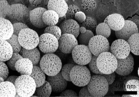 BA as a valuable resource Extraction of water glass/mesoporous silica Silica: Si-O-Si polymer network Mesoporous: from 2