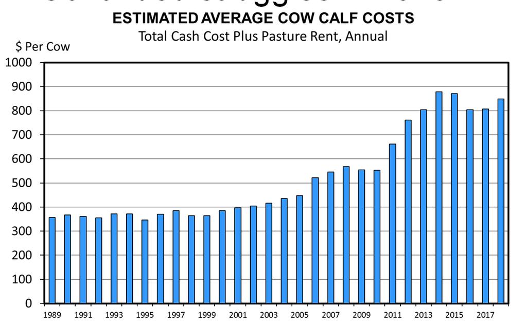 Where are we headed? Cattle price outlook should be viewed as having potential to be much different than expectations shown here.