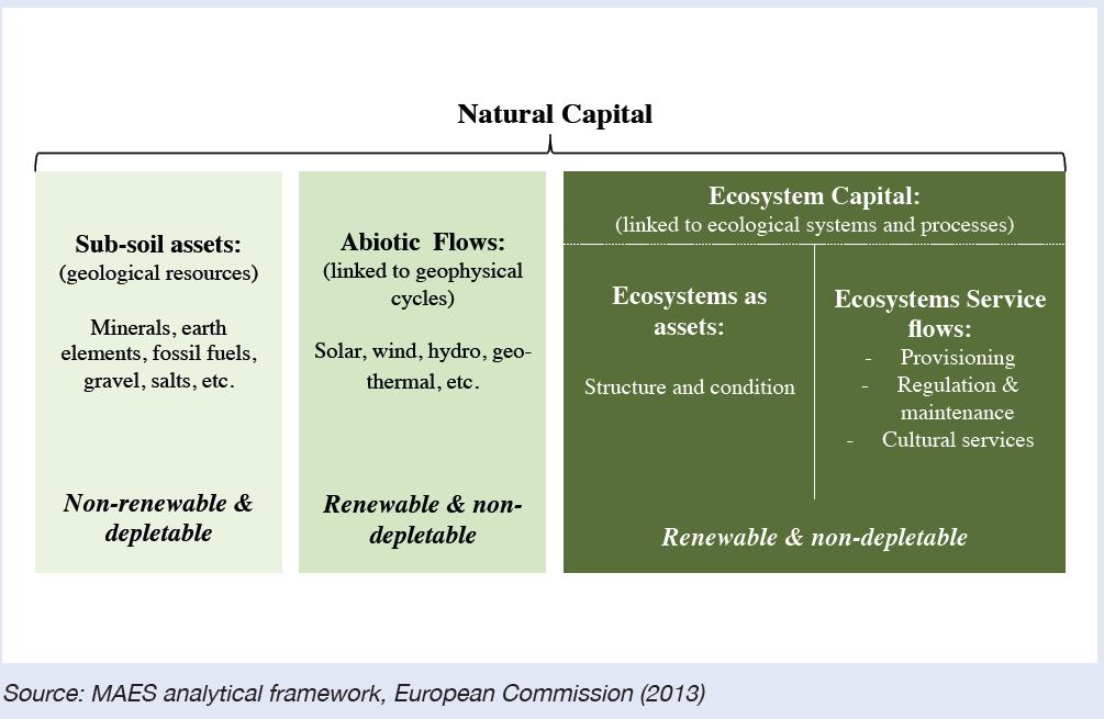 (1) Valuation of natural capital & ES will lead a better informed decision Understanding overall stocks of natural capital and