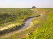 As one of five pilot projects of the Iowa Wetland Landscape Systems Initiative, this ISG designed project included construction of 0.70 miles of open ditch; 6.