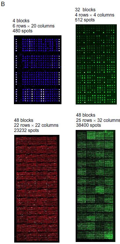 interactions using microarrays: applications in