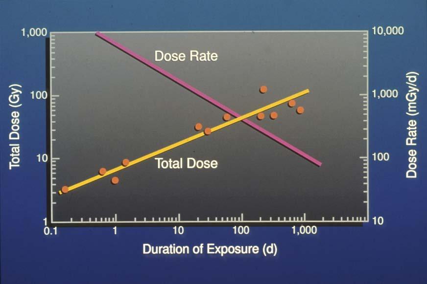 LD 50 similar to mammals for acute doses Total